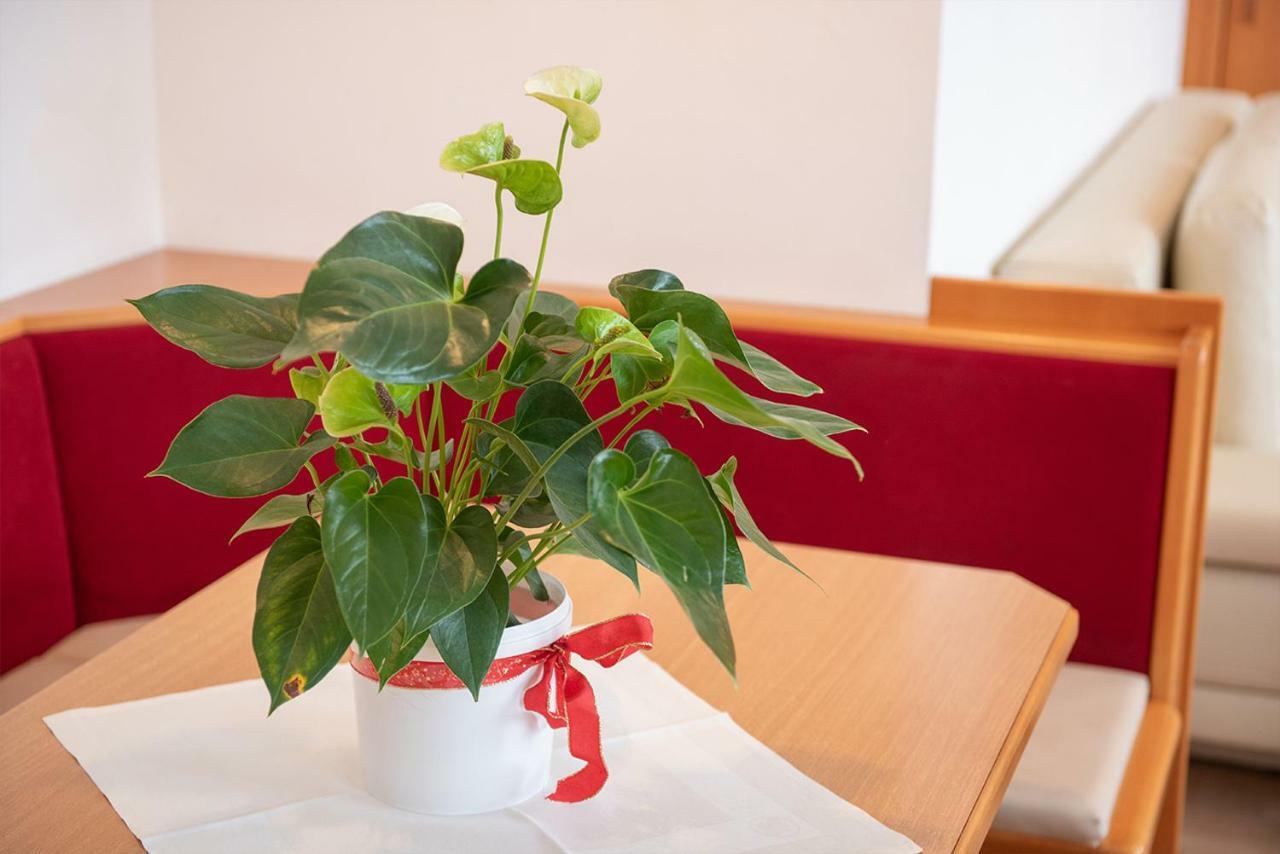Dr. Aufmesser Appartements Obertauern Zewnętrze zdjęcie